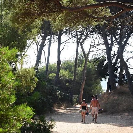 Campingplatz Le Mediterranee 3*