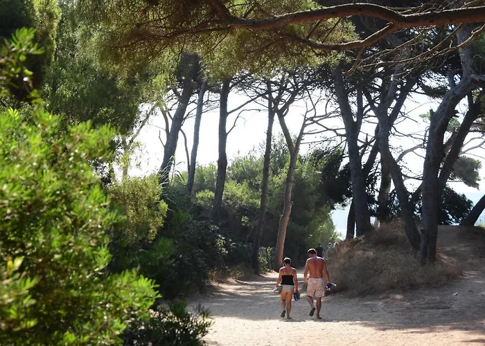 אתר קמפינג Le Mediterranee 3*